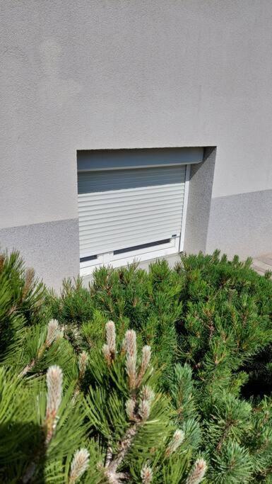 City Lodge Pine, Free Parking Ljubljana Bagian luar foto