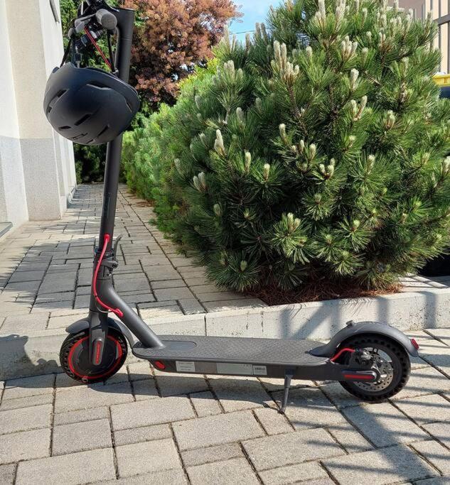 City Lodge Pine, Free Parking Ljubljana Bagian luar foto